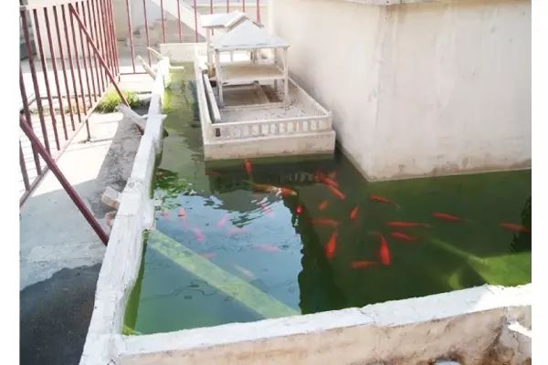 裝配式建筑是現代中國落實“大國智造”的重要變革！